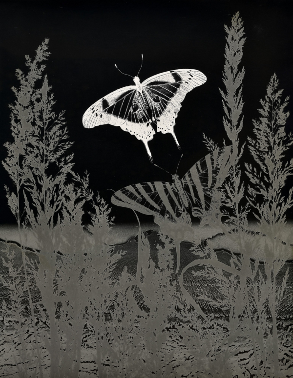 Carousel Image number 12